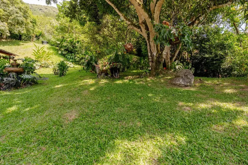 Zona verde con césped y árboles grandes